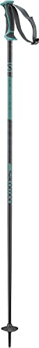 Salomon Arctic Lady Ski Poles - 115,Grey/Green