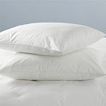 Dupont/Invista Comforel Standard Pillow Set (2 Standard Pillows)