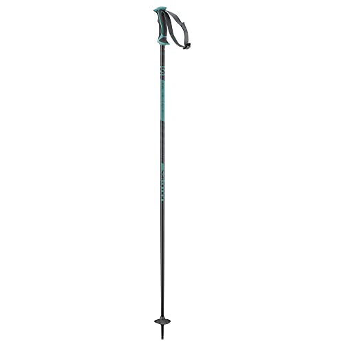 Salomon Arctic Lady Ski Poles - 105