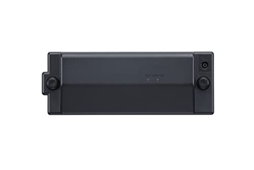 Roland Rechargeable Amp Power Pack for Select Mobile Amplifiers (BTY-NIMH/A)