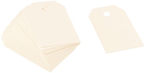 Deco Tags 20/Pkg-Rectangle, Ivory