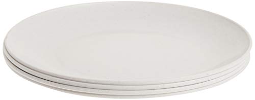 Nordic Ware Polypropylene Plates Microwave Serveware, 10', White
