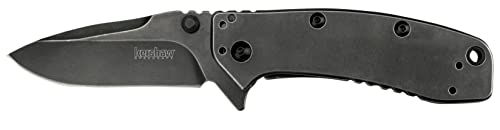 Kershaw Cryo XL BlackWash Knife, 3.25' 8Cr13MoV Steel Drop Point Blade, Assisted Everyday Carry Pocket Knife
