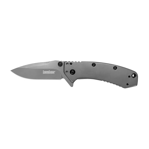 Kershaw Cryo Knife, 2.75' Stainless Steel Drop Point Blade, Assisted Opening Everyday Carry Pocket Knife