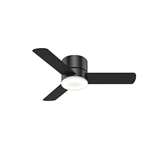 Hunter Fan Company 59453 44' Kit Control Hunter Minimus Low Profile Indoor Ceiling Fan with LED Light and Handheld Remote, Matte Black Finish