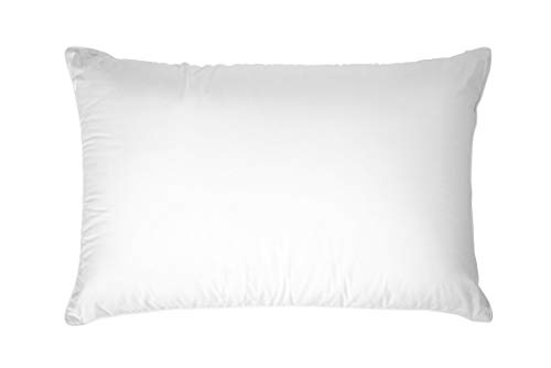 Envirosleep Dream Surrender Pillow King Found in Hampton Inn by Hilton Hotels