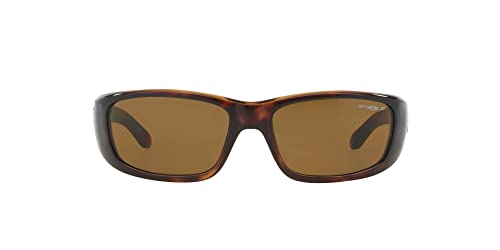 ARNETTE Unisex Sunglasses Shiny Havana Frame, Polarized Brown Classic B-15 Lenses, 59MM