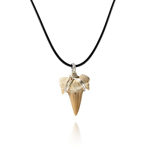 Shark Tooth Necklace for Boys, Genuine Fossil Shark Teeth Jewelry Surfer Necklace, Leather Cord Shark Necklace for boys, Shark Teeth Necklace, Cool Beach Necklaces for Men