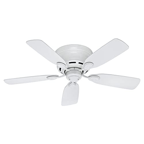 Hunter Fan Company 51059 Indoor Low Profile IV Ceiling Fan with Pull Chain Control, 42', White Finish