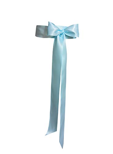 新品 2' Wide Simple Classic Colorful Ribbon Sash for Dress Formal Wedding Dress (Sky blue)