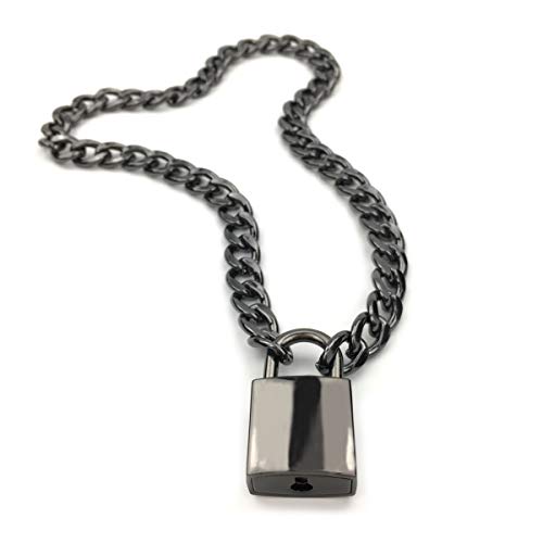 Succuba Padlock Necklace Chain Collar Choker with Two Keys and Box for Women, Men and Pet (D, 16)