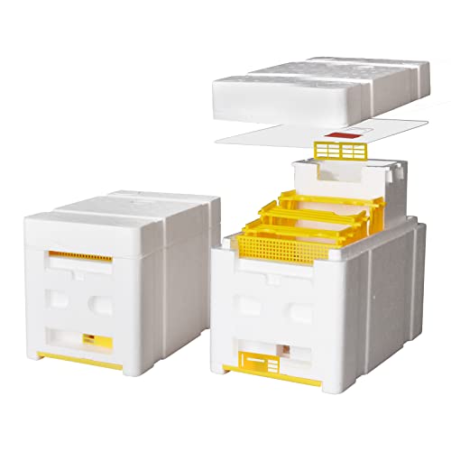 Mini Mating Nuc Box Queen Breeding Box Beekeeping Equipment Foam Queen Rearing Hive for Beekeeper