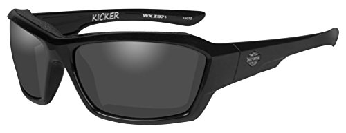 Harley-Davidson Men's Kicker Sunglasses, Smoke Gray Lens/Black Frame HAKIC01