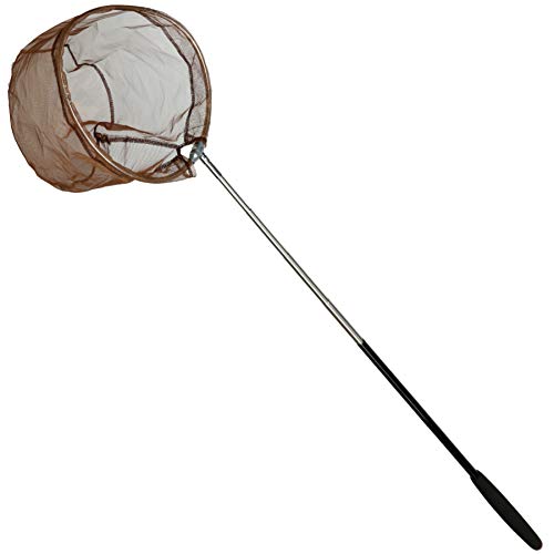 RESTCLOUD Bait Net and Fishing Landing Net with Telescoping Pole Handle Extends to 59 inches (Brown)