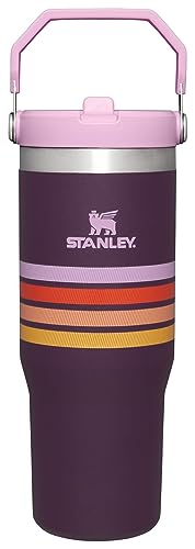 Stanley IceFlow Stainless Steel Tumbler - Vacuum Insulated Water Bottle for Home, Office or Car Reusable Cup with Straw Leak Resistant Flip Cold for 12 Hours or Iced for 2 Days, Plum Stripe, 30OZ