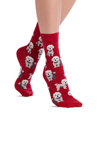 JNRB Women's Cotton Colored Bright Crew Dress Novelty Socks funny cute your favorite Dog breed printed, S-M (Maltese Puppy)