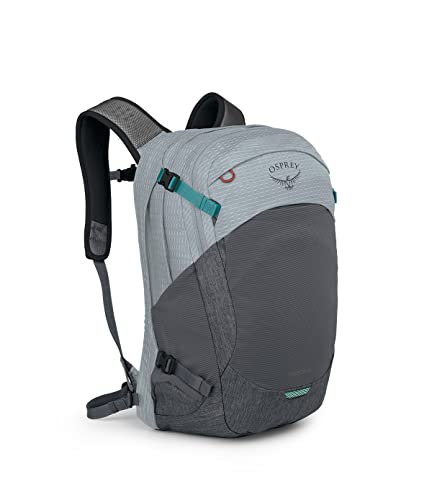 Osprey Nebula Commuter Backpack, Silver Lining/Tunnel Vision Pop, One Size