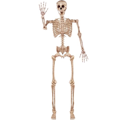 JOYIN 5.6 FT Halloween Posable Life Size Skeleton Full Body Realistic Bones with Movable Joints for Halloween Indoor and Outdoor Decoration