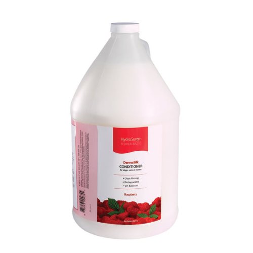 Hydrosurge Raspberry Dermasilk Cond Gallon