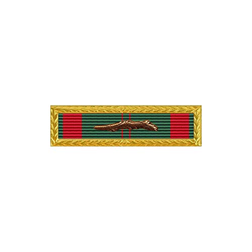 US Air Force Vietnam Civil Action Unit Citation With Bronze Palm Device