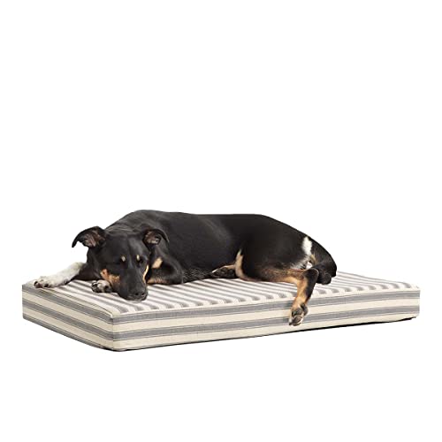 Barkbox Memory Foam Platform Dog Bed | Plush Mattress for Orthopedic Joint Relief | Machine Washable Cuddler with Removable Cover and Water-Resistant Lining | (Medium, Stripe)