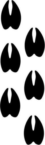 Deer Buck Prints Hooves Animal Wildlife Graphic Car Truck Windows Decal Sticker - Die cut vinyl decal for windows, cars, trucks, tool boxes, laptops, MacBook - virtually any hard, smooth surface