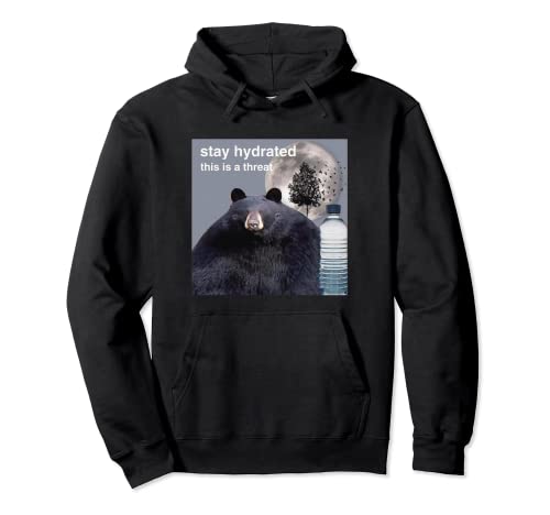 Stay Hydrated This Is A Threat Meme Pullover Hoodie