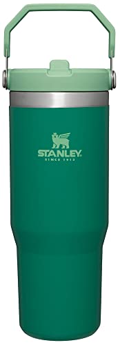 Stanley IceFlow Stainless Steel Tumbler - Vacuum Insulated Water Bottle for Home, Office or Car Reusable Cup with Straw Leak Resistant Flip Cold for 12 Hours or Iced for 2 Days, Alpine, 30oz