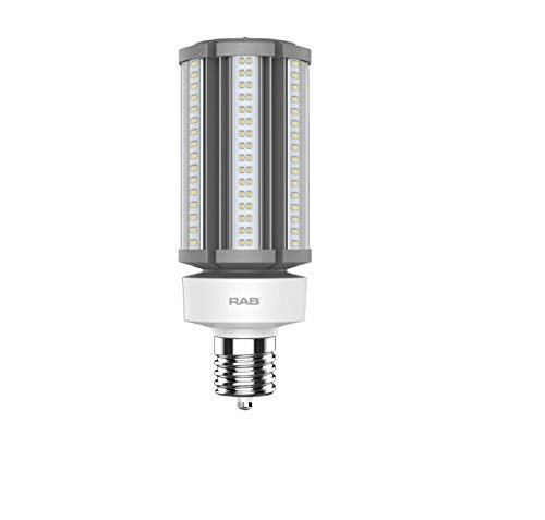 RAB Lighting HID-45-EX39-850-BYP-PT Outdoor, Daylight White