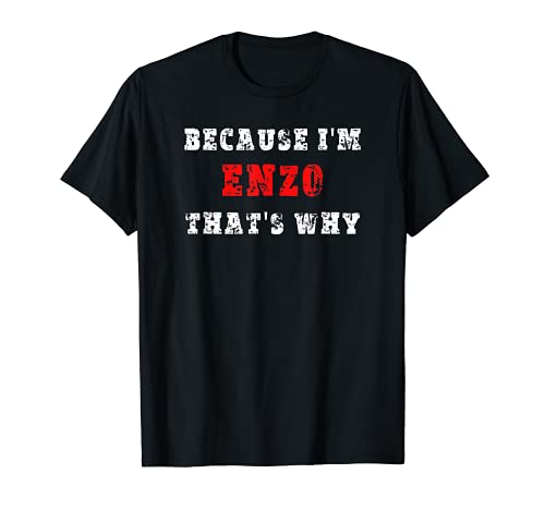 Mens Sarcastic Funny Birthday Name Joke for Enzo T-Shirt