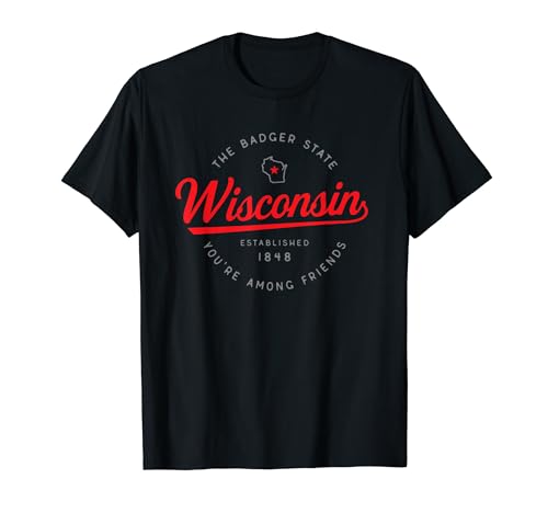 Wisconsin WI Badger State You're Among Friends in Wisconsin T-Shirt