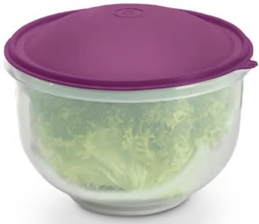 Super Crisp It Lettuce Keeper Purple