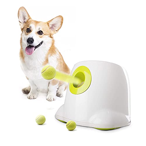 AFP Automatic Ball Launcher for Dogs Interactive Puppy Pet Ball Indoor Thrower Fetch Machine, 3 Balls Included (2 inch) for Small Size Dogs