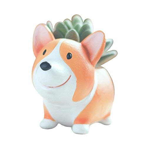 Cuteforyou Succulent Pots,Cute Animal Corgi Dog Shaped Flower Planters-Plants Not in Included (Resin)
