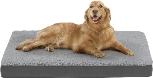 Codi Dog Bed for Large Dogs - Orthopedic Dog Beds with Foam Layer, Reversible Dog Mat with Removable Cover, Waterproof Pet Bed Machine Washable, Grey