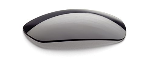 Smith Optics Elite Pivlock Echo Max Eyeshield Lens, Grey