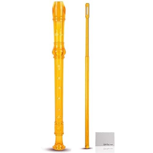 Everjoys Soprano Recorder for Beginners Student in School - German Style C Key 8 Hole Flute Detachable 3pcs ABS Crystal Music Recorders w/Cleaning Rod,Bag and Fingering Chart, Transparent Golden