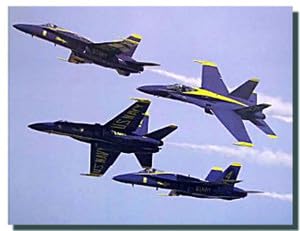 US Blue Angels Military Aircraft Jet Aviation Airplane Wall Decor Art Print Poster (16x20)