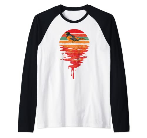 Retro Sunset Vintage Baltimore Oriole Raglan Baseball Tee