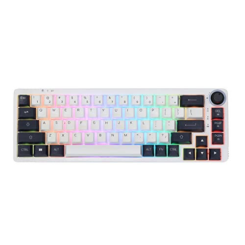 EPOMAKER Theory TH68 Pro 65% 67Keys RGB Hot Swappable Programmable Bluetooth 5.0/2.4Ghz Wireless/USB-C Wired Triple Modes Mechanical Gaming Keyboard with Rotary Knob for Win/Mac(Flamingo Switch)
