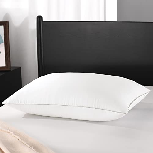 downluxe Premium Down Feather Pillow Luxury Hotel Collection - Bed Pillow for Sleeping with Silver Piped Edges, Queen Size (20'×28', Pack of 1)