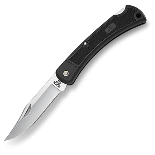 Buck Knives 110 Folding Hunter LT Lightweight Folding Lockback Hunting Knife with Lanyard Hole & Heavy-Duty Polyester Sheath Included, Nylon Handle, 3-3/4' 420HC Blade, Black