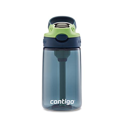 Contigo Aubrey Kids Cleanable Water Bottle with Silicone Straw and Spill-Proof Lid, Dishwasher Safe, 14oz, Blueberry/Green Apple