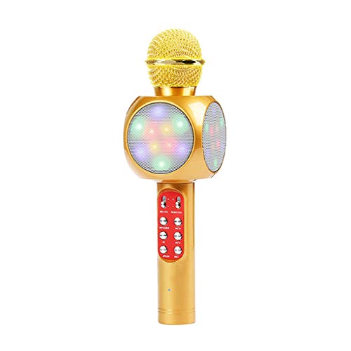 N/A Microphone with LED Light Microphone Handheld FM Mic Broadcast Mic for Music Singing Speaker Player (Color : White-Dinosaur Doodle4)