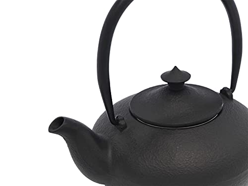 Teapot Cast Iron Chengdu Black Black Handle 1.0 Liter