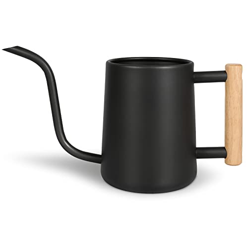Watering Can for Indoor Plants, 35 oz/1000 ml Metal Stainless Steel Pot with Long Spout for House Plants Bonsai Outdoor Garden Flower Decorative (Black)