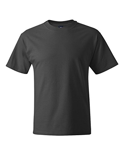 Hanes Men's Short Sleeve Beefy-T (Pack of 2), Smoke Grey, X-Large