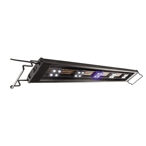 Marineland Fully Adjustable Essential LED Light for 20 Gallon Aquariums, Customizable Lighting