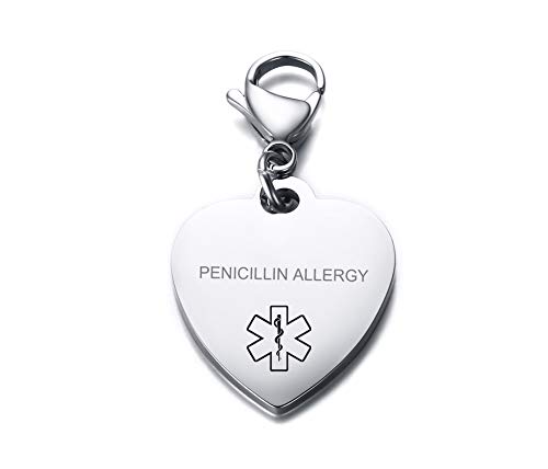 VNOX PENICILLIN Allergy Medical Alert Symbol Stainless Steel Heart Shape ID Tag Keychain,Charm for Bracelet Handmade Jewelry