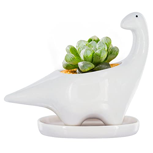 GeLive White Dinosaur Ceramic Succulent Planter Flower Plant Pot Window Box with Saucer Cartoon Animal Decor, 5 Inch, Indoor Outdoor